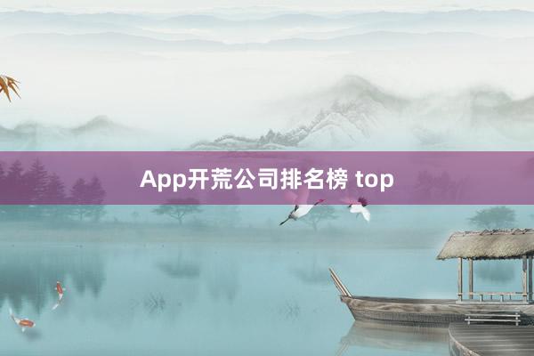 App开荒公司排名榜 top