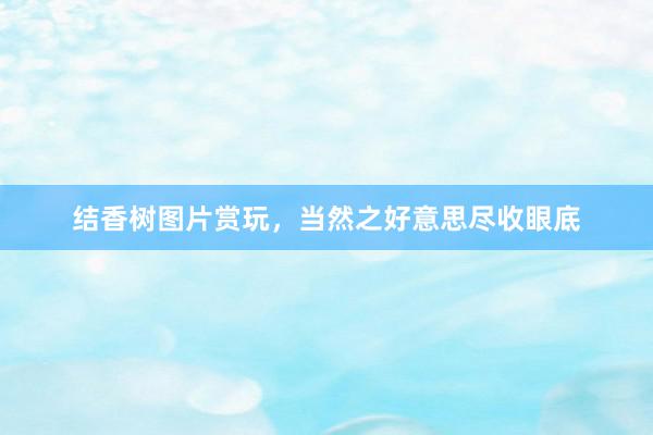 结香树图片赏玩，当然之好意思尽收眼底