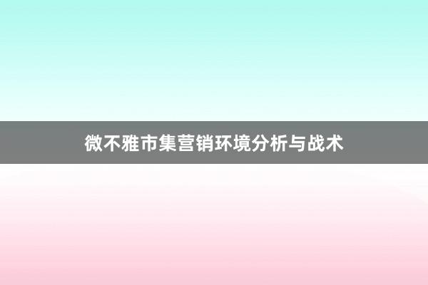 微不雅市集营销环境分析与战术